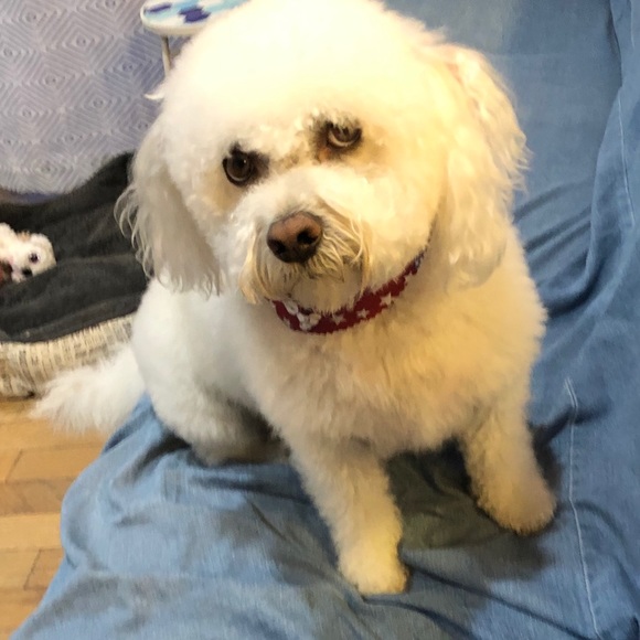 Meet your Posher - Picture 3 of 3